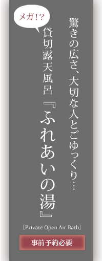 貸切露天風呂/驚きの広さ、大切な人とごゆっくり…メガ!?貸切露天風呂『ふれあいの湯』